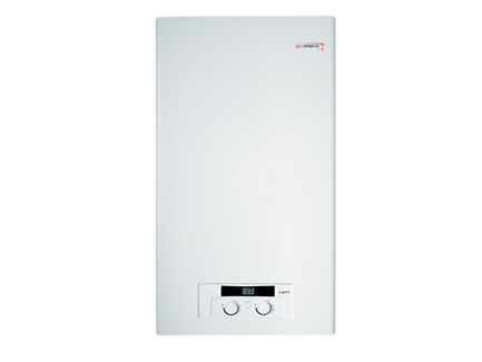 Котел газ. Protherm Рысь 24 НК Lunx 0010015239 ВЫГОДА!!!