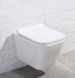   Belbagno "DORY" .  . (B522ACHR)