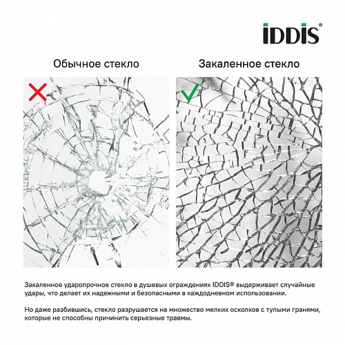 Душевая дверь, глянцевый ал. проф., 110х195, Zodiac, IDDIS, ZOD6CS1i69