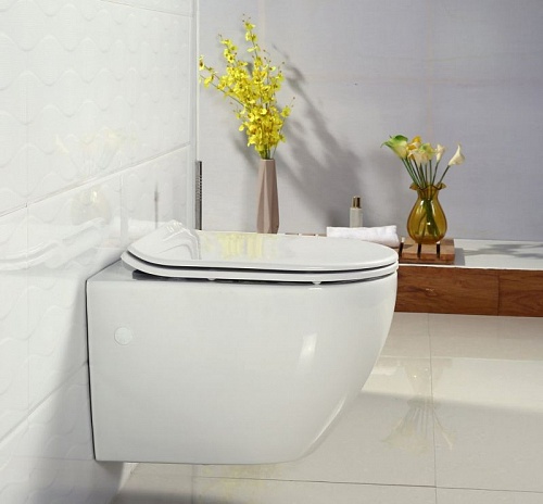 Сиденье д/унитаза Belbagno "Flay-R" м/лифт BB0209SC 