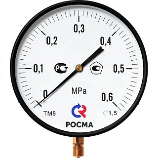   0...0,6 bar (0...0,06), -510.00 (100, G 1/2, . .1,5) () (13503)