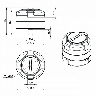 Емкость T 100л