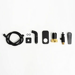 Смеситель с гигиеническим душем встраиваемый "Bronx" (LM3719BL) черный LEMARK ВЫГОДА!!