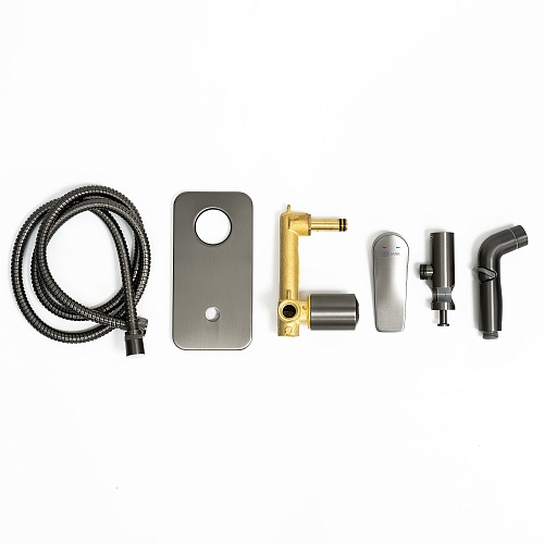 Смеситель с гигиеническим душем встраиваемый "Bronx" (LM3720GM) графит LEMARK 