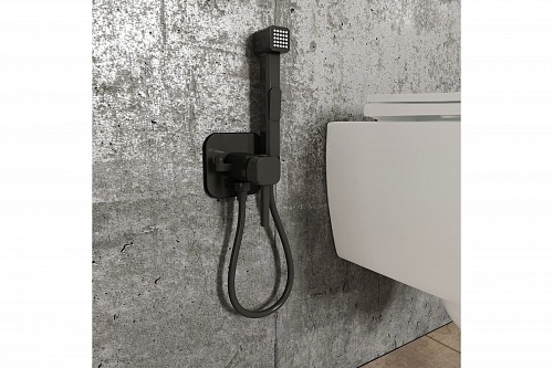 Встраиваемый смеситель с гигиеническим душем 004BLS0i08