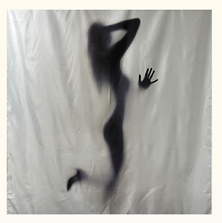 Штора д/ванной комнаты 180*200 "Тень" полиэстер (02-27)