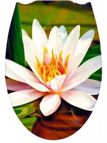 Сиденье д/унитаза FOR-LID18 пластик. ЛОТОС